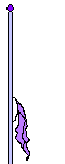 BS Flag