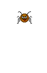 swat bug