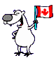 Canadian Polar Bear